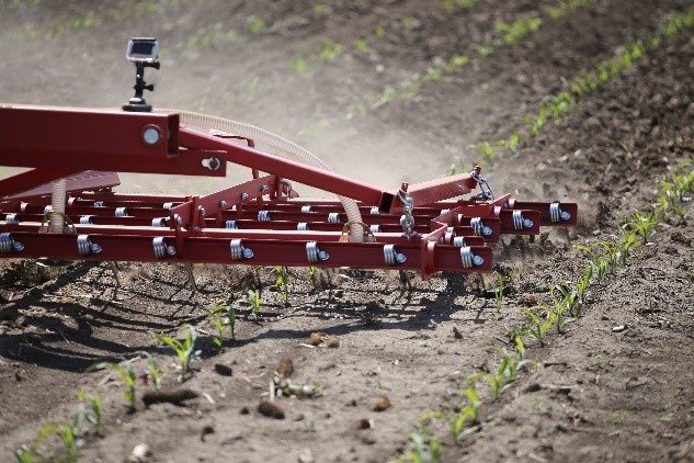 Spring-tine weeder harrow