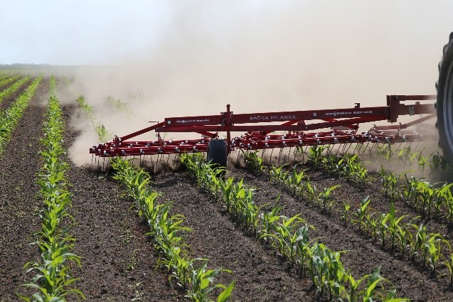 Spring-tine weeder harrow