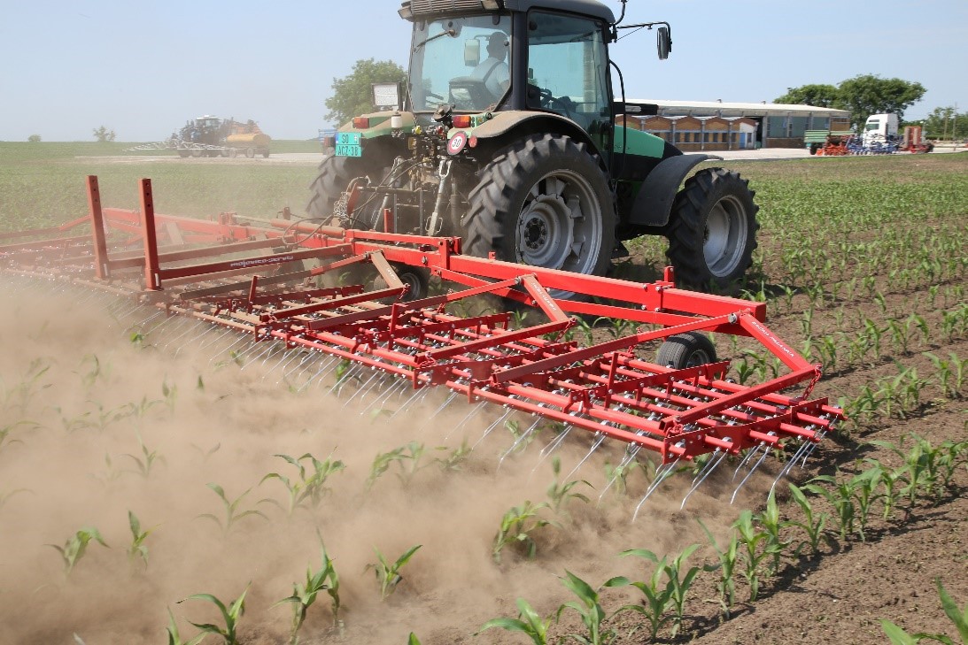 Spring-tine weeder harrow